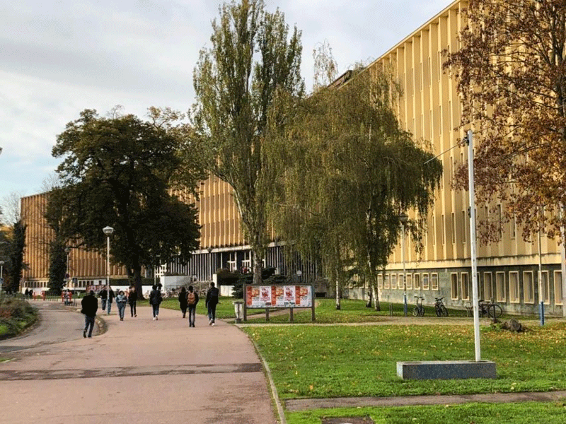 Un Guide Complet pour le Meilleur choix d’université en France